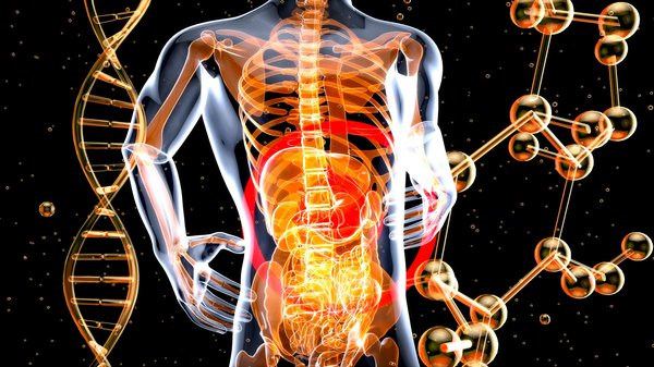 How Can Holistic Therapies Enhance Treatment Outcomes for Gastrointestinal Disorders?